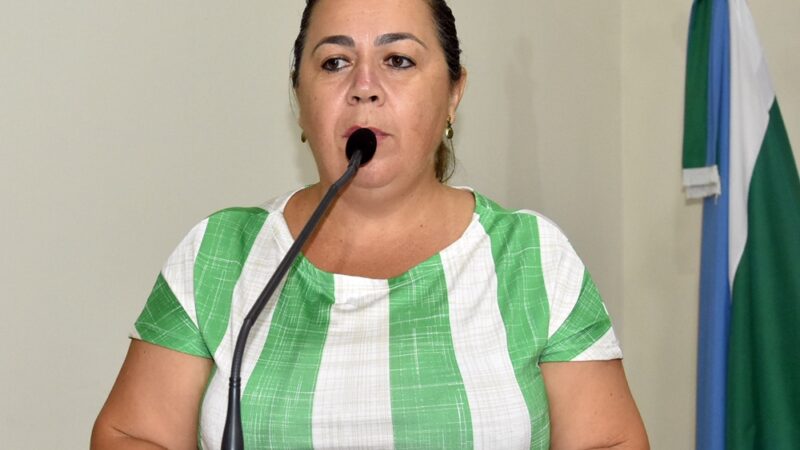 Claudia Carreiro quer informações sobre a obra inacabada da ponte da Rua Rio Brilhante e solicita finalização da obra da Avenida Ramez Tebet.
