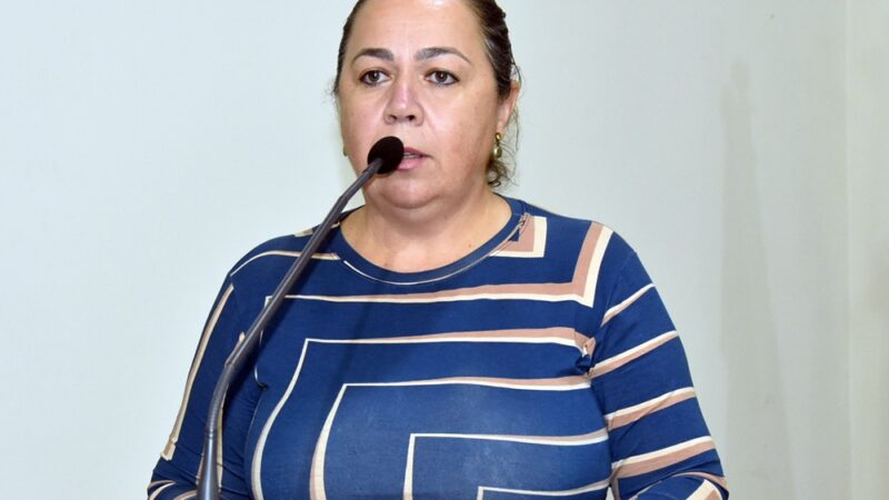 Claudia solicita recuperação da pavimentação asfáltica danificada para conserto na rede de distribuição de água na Vila Industrial.