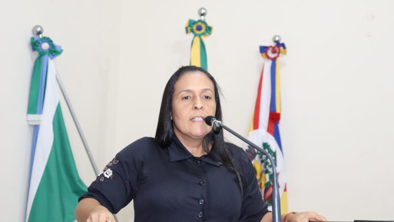 Vereadores Lucinéia Marinho, Mauro César e José Roberto ambos do PSD, solicitam tapa-buracos na cidade e no distrito de Guaçulândia.