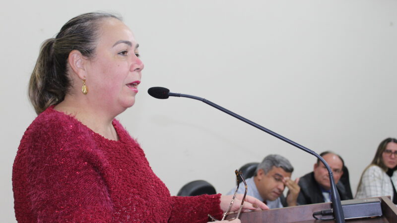 Vereadora Cláudia Regina Marangoni Bom, PP, solicita manutenção dos banheiros do mercado do produtor.