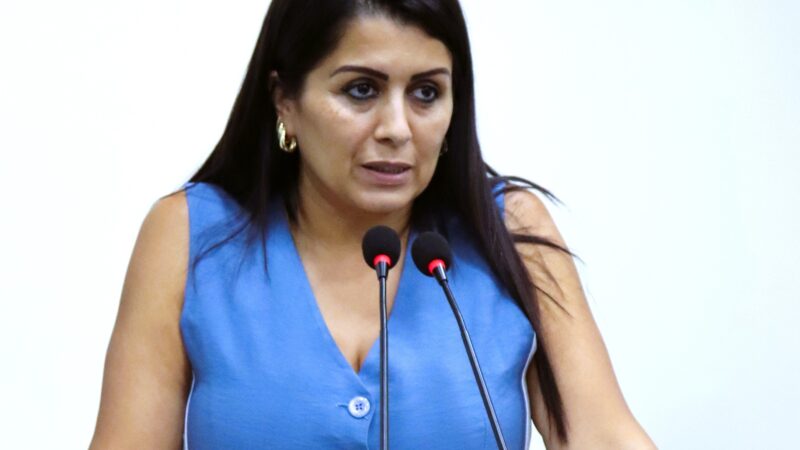 Vereadora cobra Prefeitura sobre terrenos abandonados e risco à saúde pública.